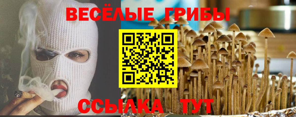 Галлюциногенные грибы прущие грибы Кувандык