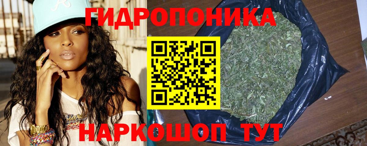 Канабис план Кувандык